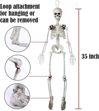 Sizonjoy 35" Posable Halloween Skeleton, Full Body Joints Plastic Skeleton with Movable/Posable Joints,Perfect for Halloween Haunted House Props Decorations Outdoor