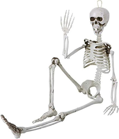 Sizonjoy 35" Posable Halloween Skeleton, Full Body Joints Plastic Skeleton with Movable/Posable Joints,Perfect for Halloween Haunted House Props Decorations Outdoor