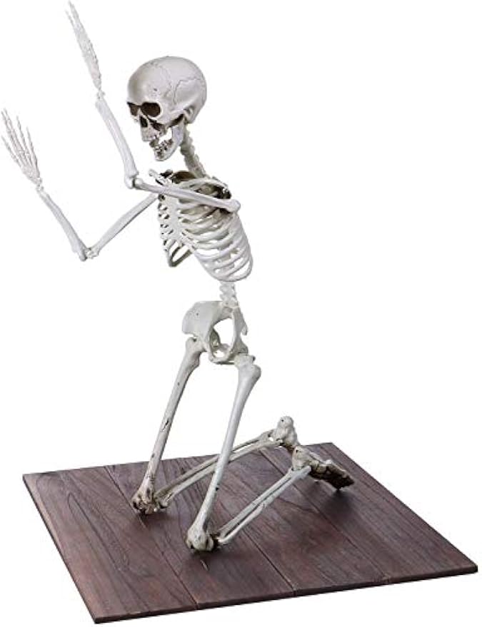 Sizonjoy 35" Posable Halloween Skeleton, Full Body Joints Plastic Skeleton with Movable/Posable Joints,Perfect for Halloween Haunted House Props Decorations Outdoor